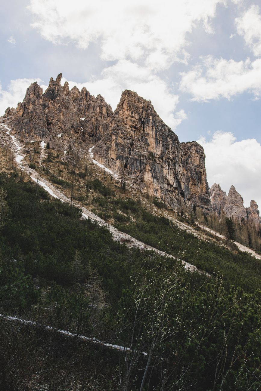 Hikers on an alpine trail