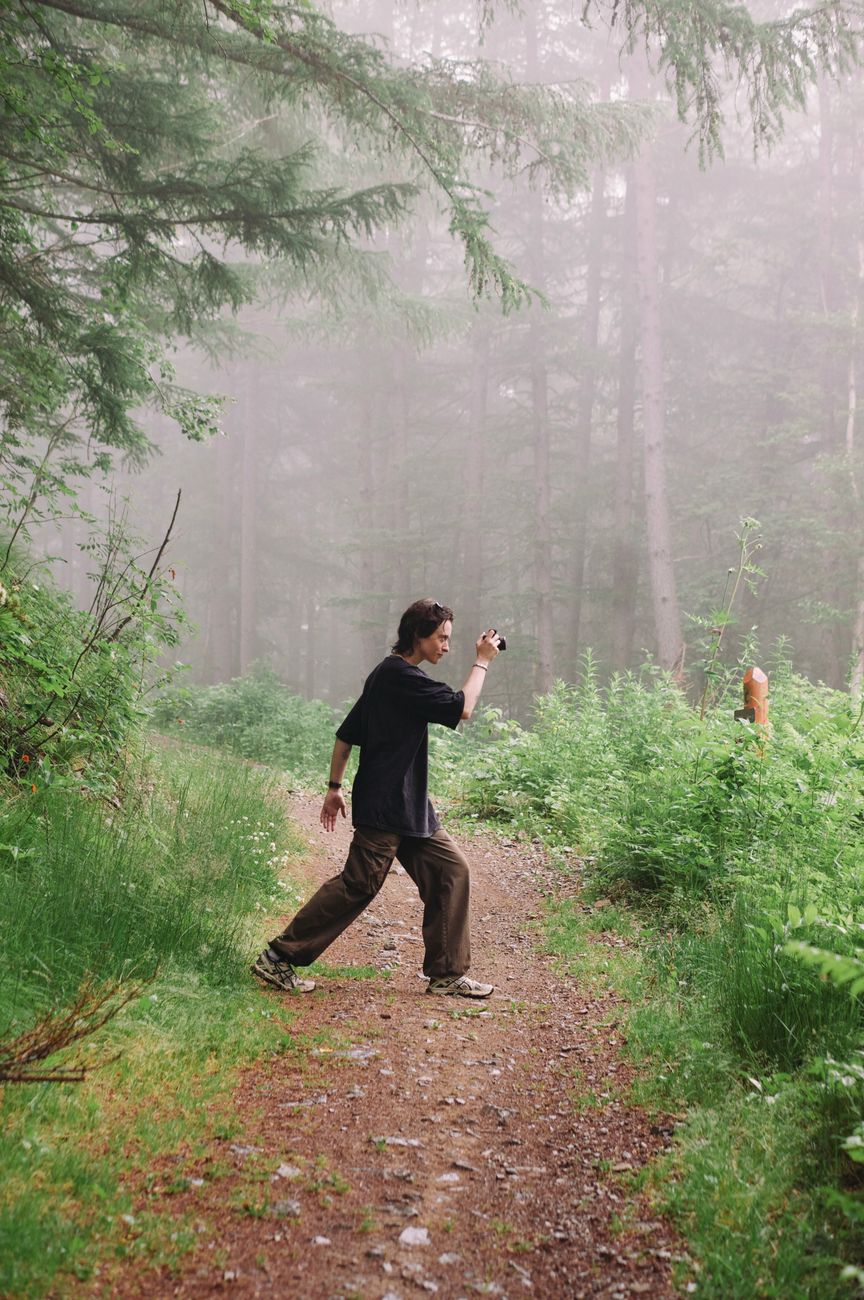 Travel photographer in misty forest